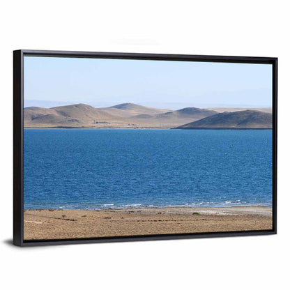 Aydarkul Lake Shoreline, Uzbekistan Wall Art