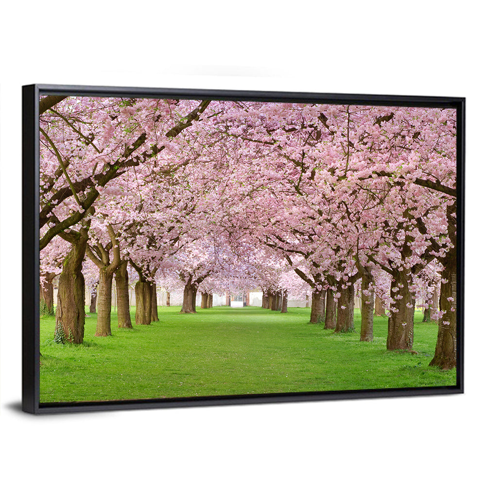 Cherry Blossom Avenue Wall Art