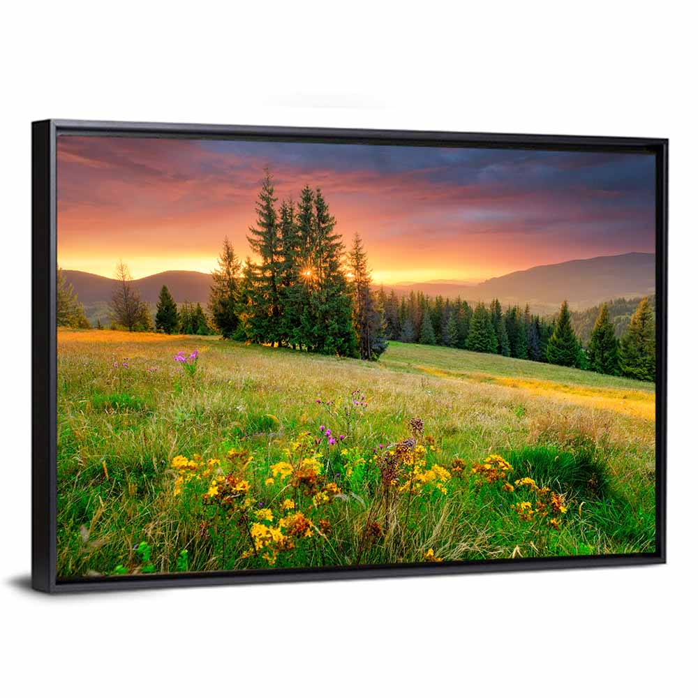 Sunset Meadow with Wildflowers Wall Art
