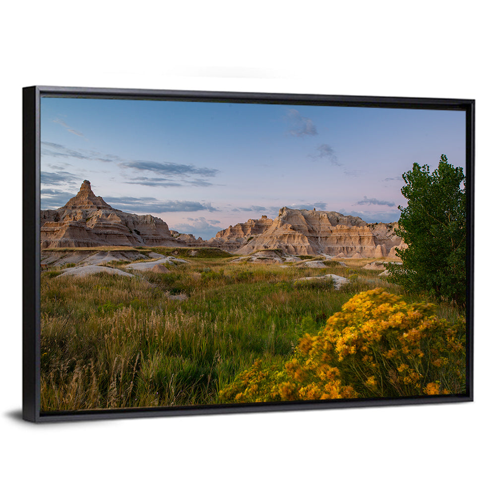 Badlands Golden Hour Meadow Wall Art