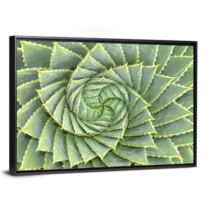 Spiral Aloe Close-up Wall Art