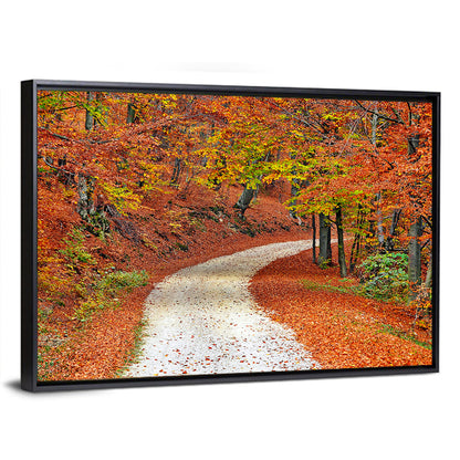 Misty Gravel Path Through Autumn Trees Wall Art