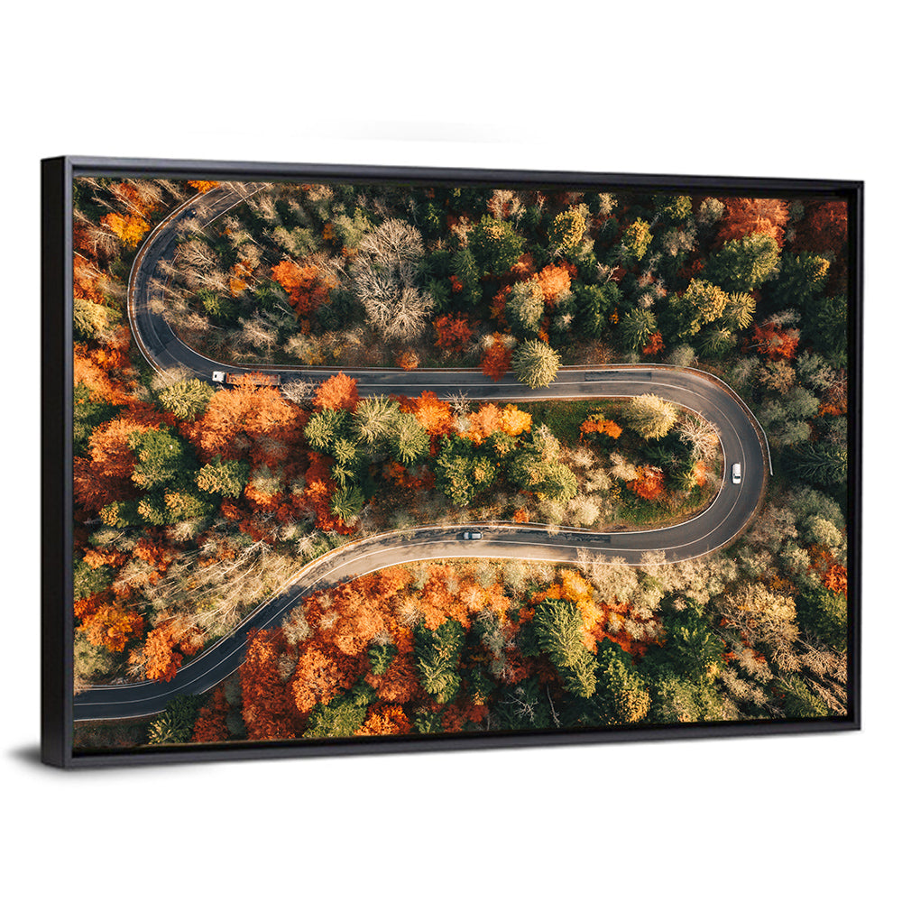 Aerial Winding Autumn Forest Road Wall Art
