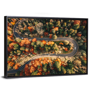 Winding Autumn Forest Road Wall Art