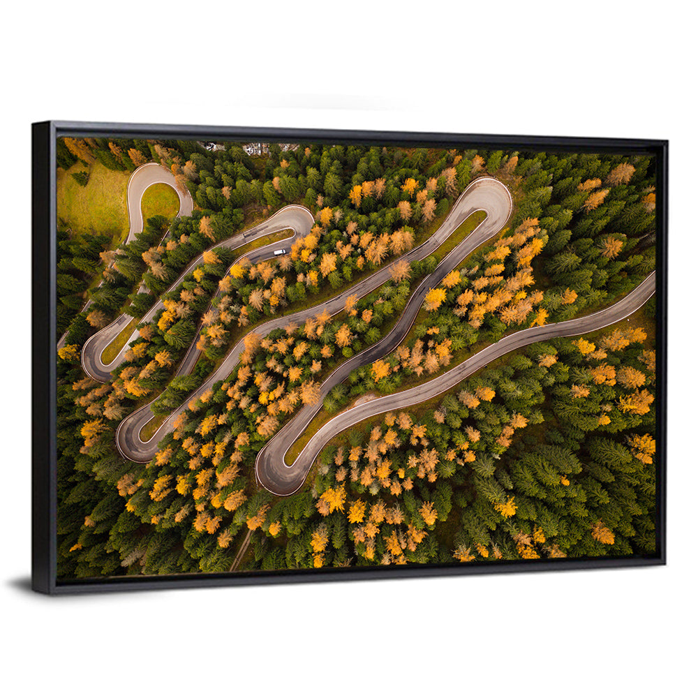 Aerial Curvy Forest Road Wall Art