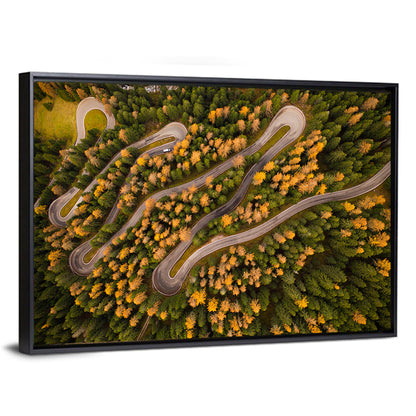 Aerial Curvy Forest Road Wall Art