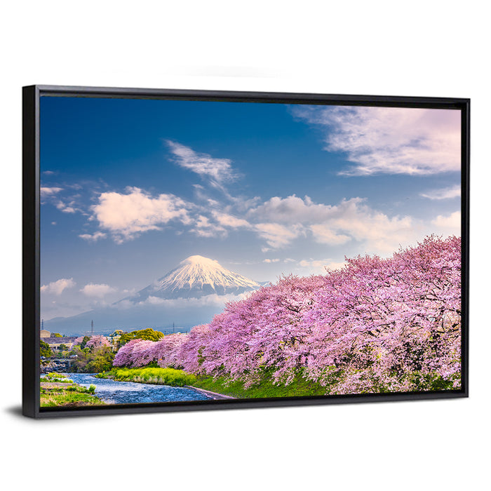 Mount Fuji Cherry Blossoms Wall Art as a framed canvas