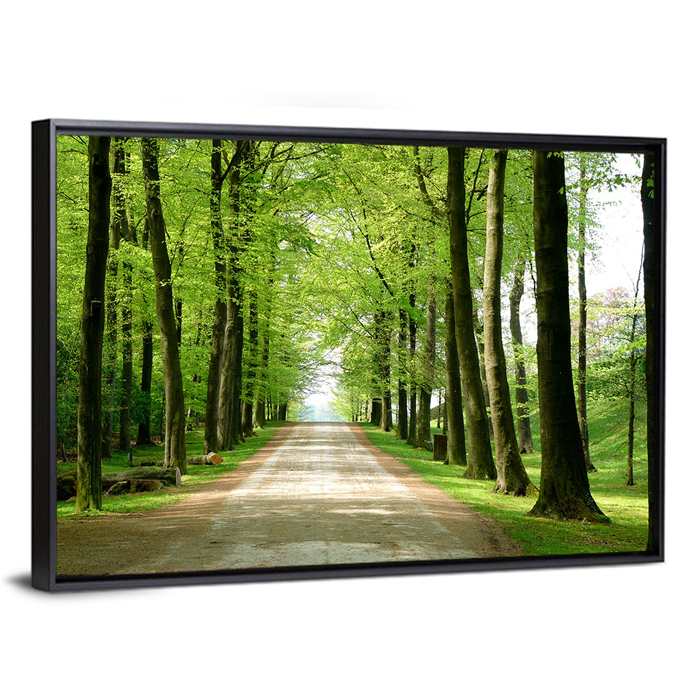 Sunlit Tree-lined Path Wall Art