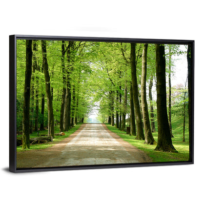 Sunlit Tree-lined Path Wall Art