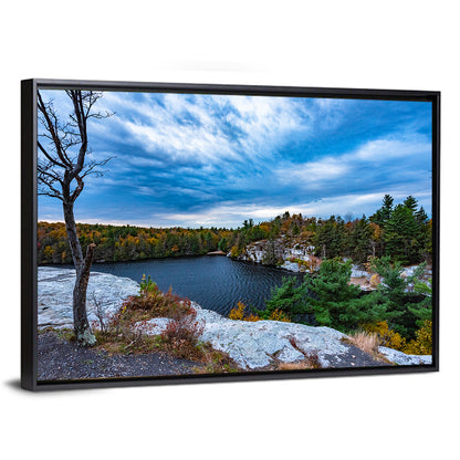 Lake Minnewaska Vista Wall Art