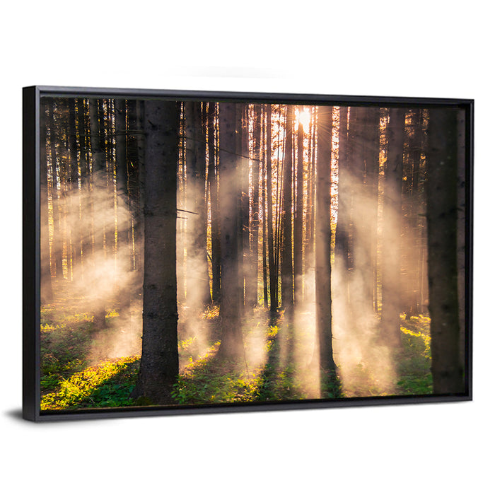Sunrise Through Misty Forest Wall Art as a framed canvas