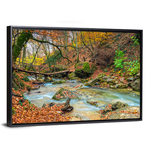 Autumn Forest Stream Wall Art