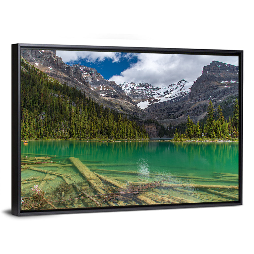 Lake O'hara Reflection Wall Art