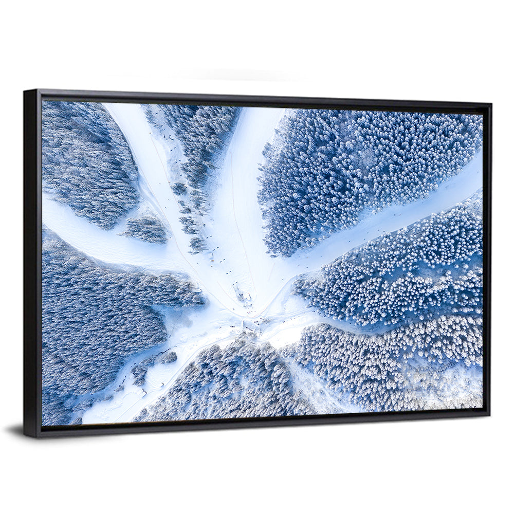 Birds-eye Ski Resort Landscape Wall Art