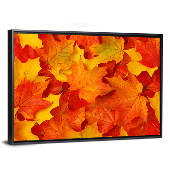 Autumn Maple Leaves Wall Art as a framed canvas