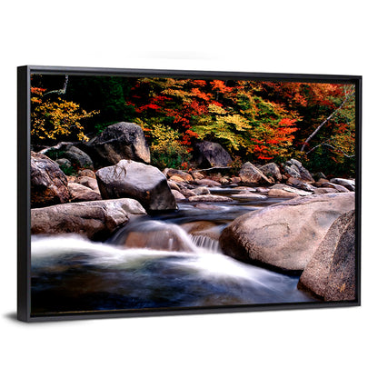 New Hampshire Autumn Stream Wall Art