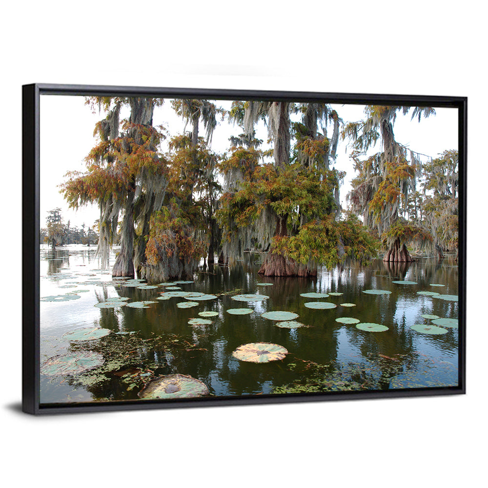 Lake Martin Cypress Swamp Wall Art