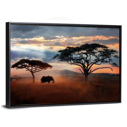 Savanna Elephant at Sunset Wall Art