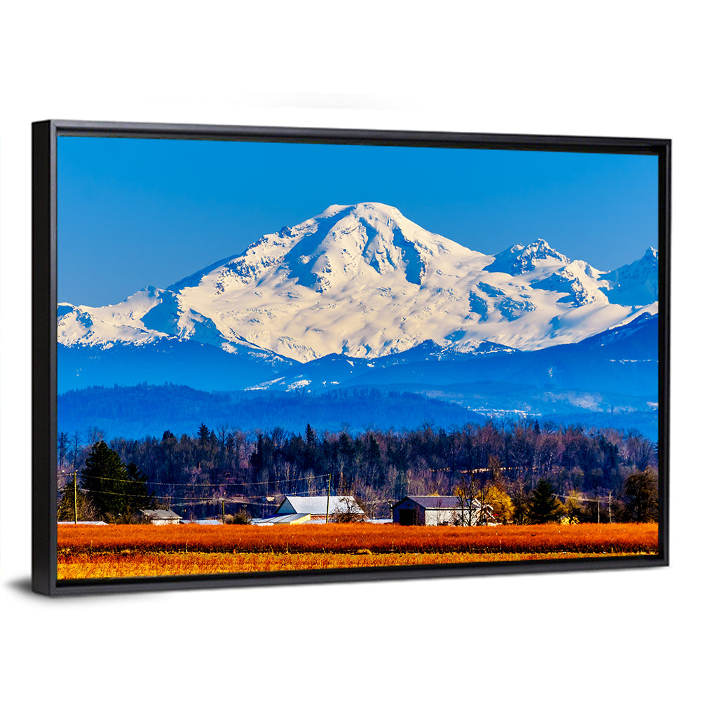 Mount Baker Fields Wall Art
