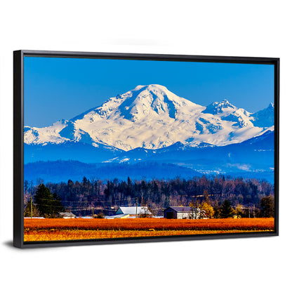 Mount Baker Fields Wall Art