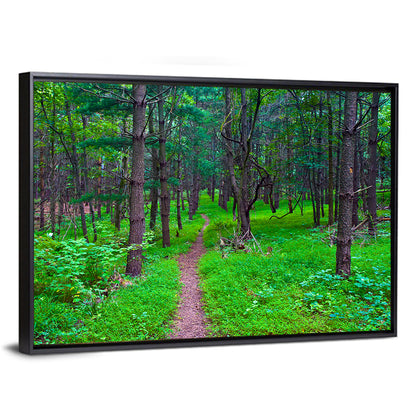 Lush Virginia Forest Trail Wall Art