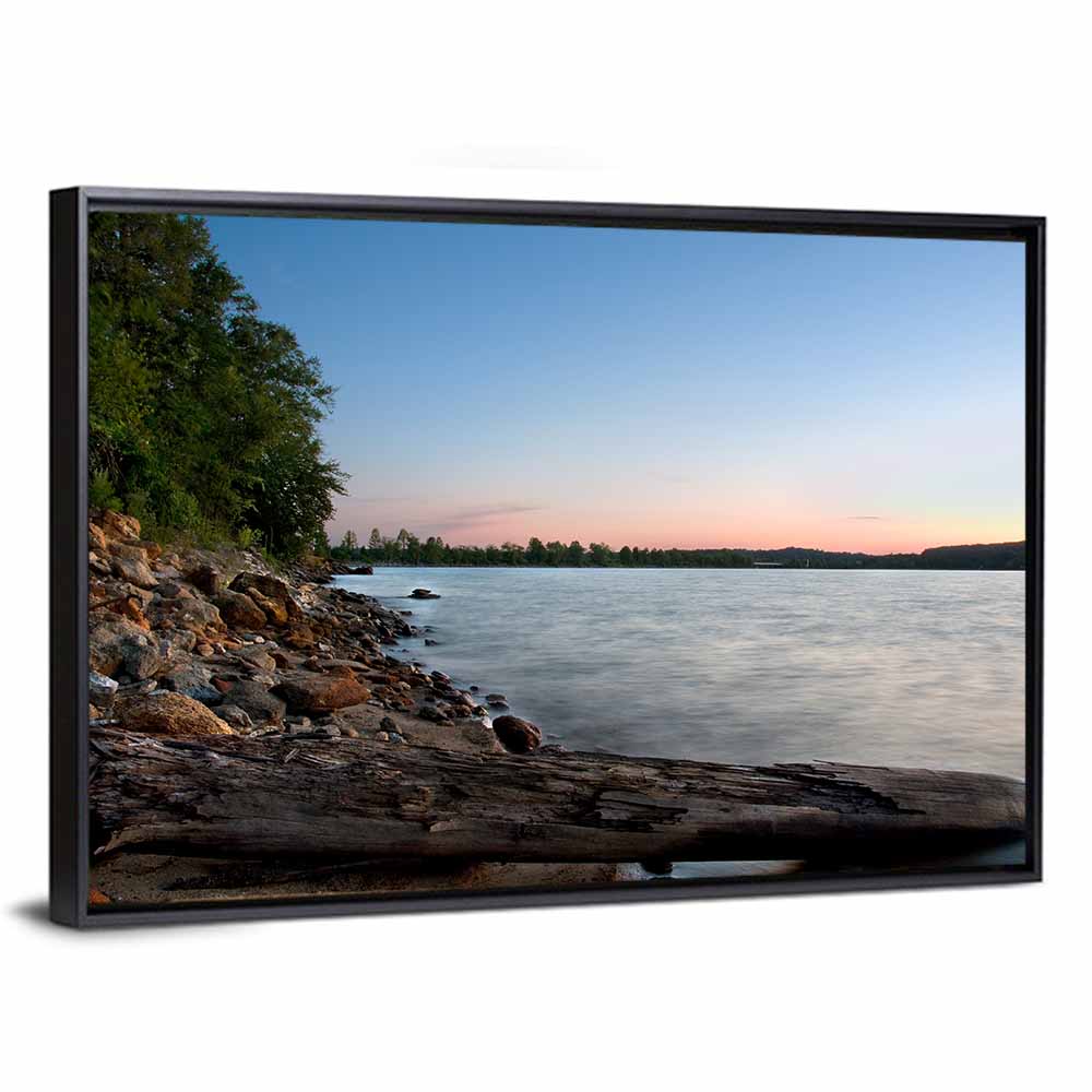 Lake Hartwell Driftwood Shoreline Wall Art