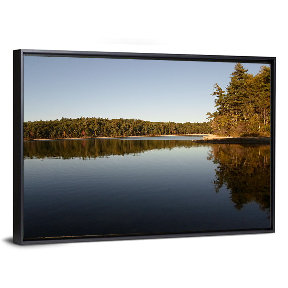 Walden Pond Reflection Wall Art