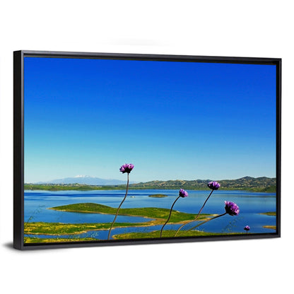 Lake Mathews Wildflower View Wall Art
