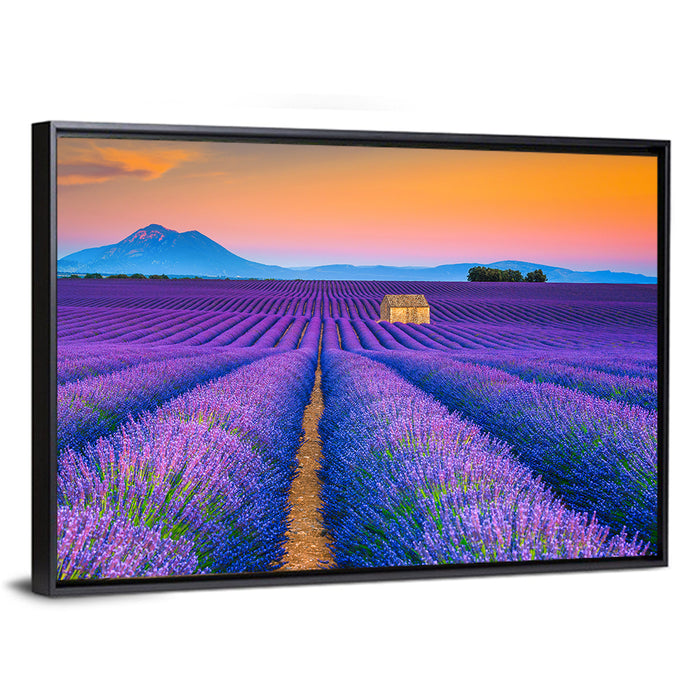 Valensole Lavender Fields at Sunset Wall Art as a framed canvas