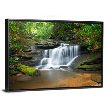Blue Ridge Mossy Waterfall Wall Art