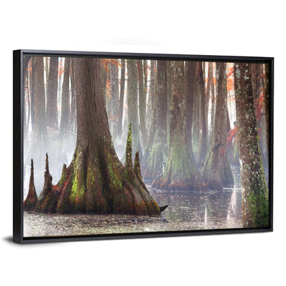 Chicot State Park Morning Fog Wall Art