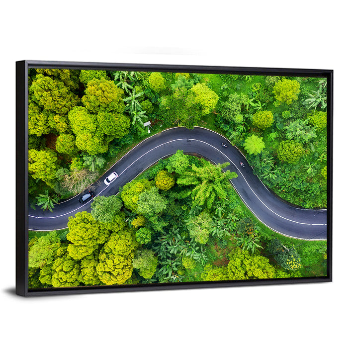 Winding Tropical Forest Road Wall Art as a framed canvas