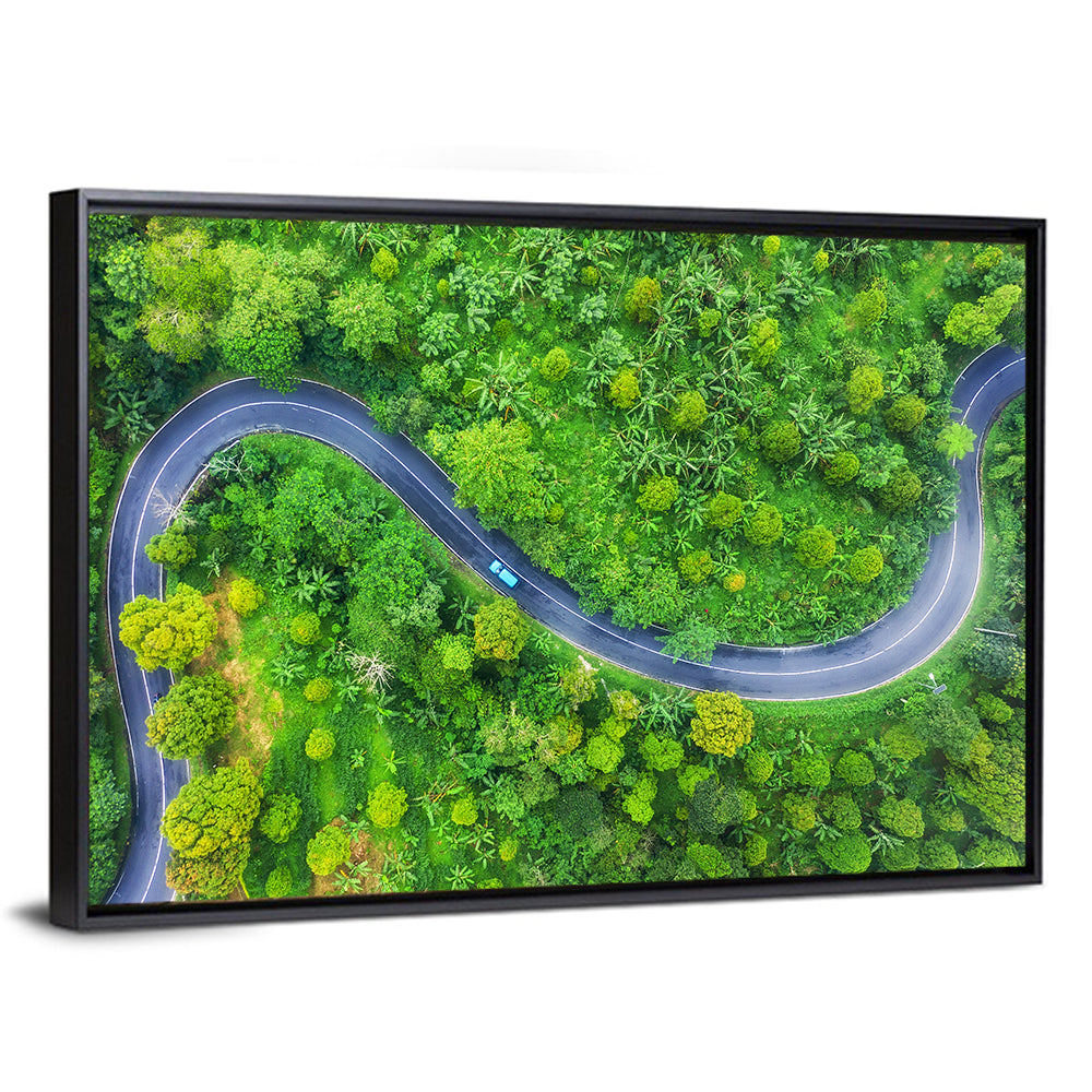 Blue Car on Summer Forest Road Wall Art