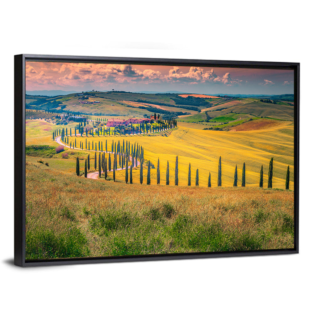 Val D'orcia Cypress Road Wall Art