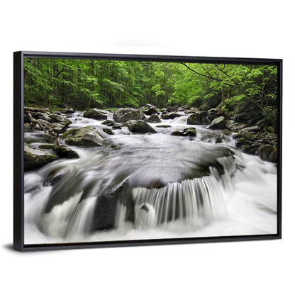 Smoky Mountains Cascading Stream Wall Art