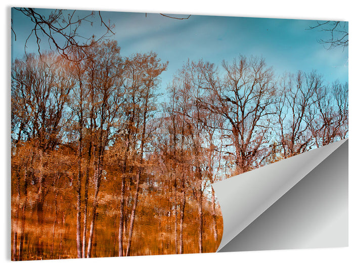 Autumn Reflection Wall Art as a poster print