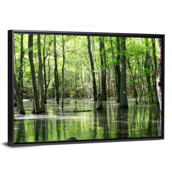 Sunlit Swamp Forest Wall Art as a framed canvas