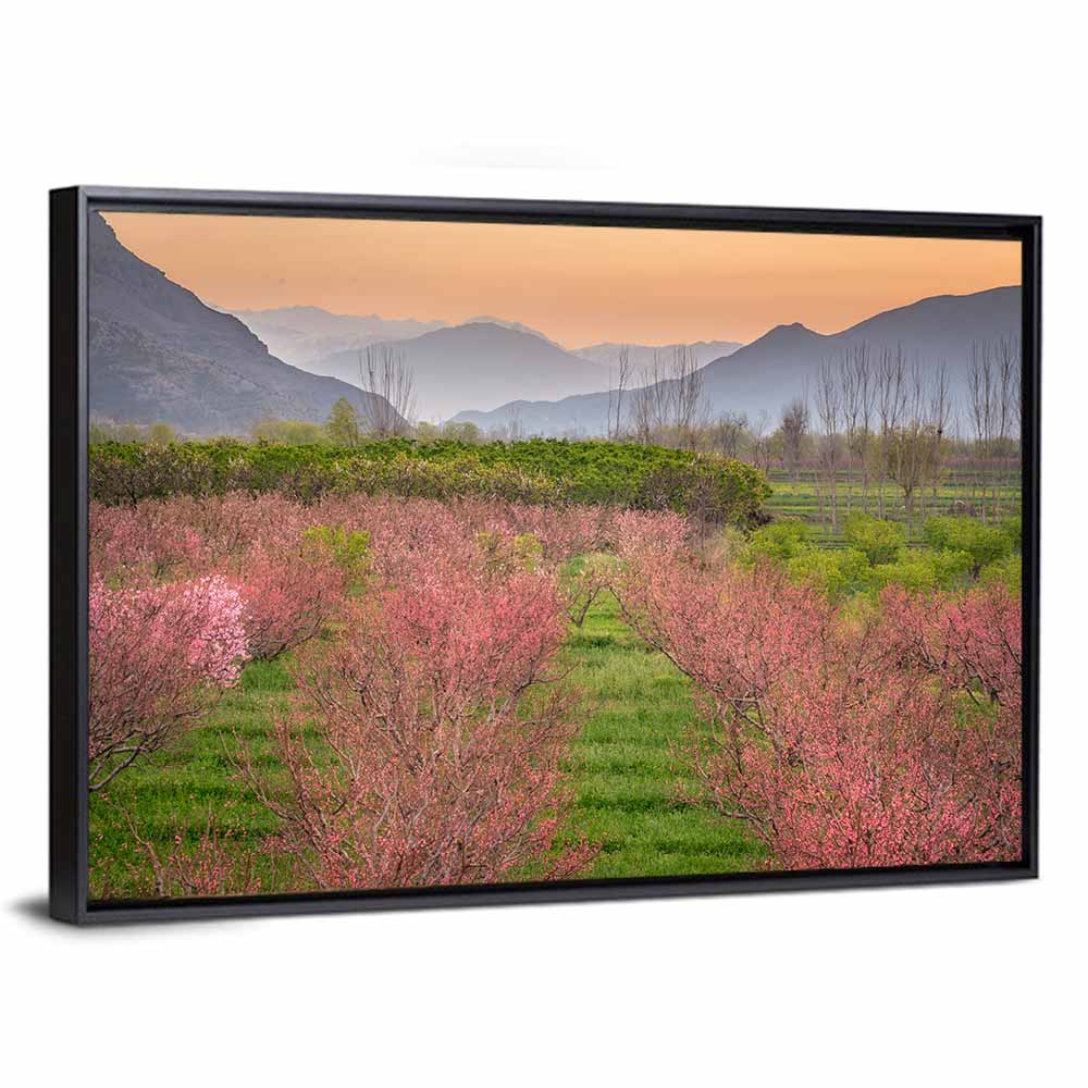 Swat Valley Spring Orchard Wall Art