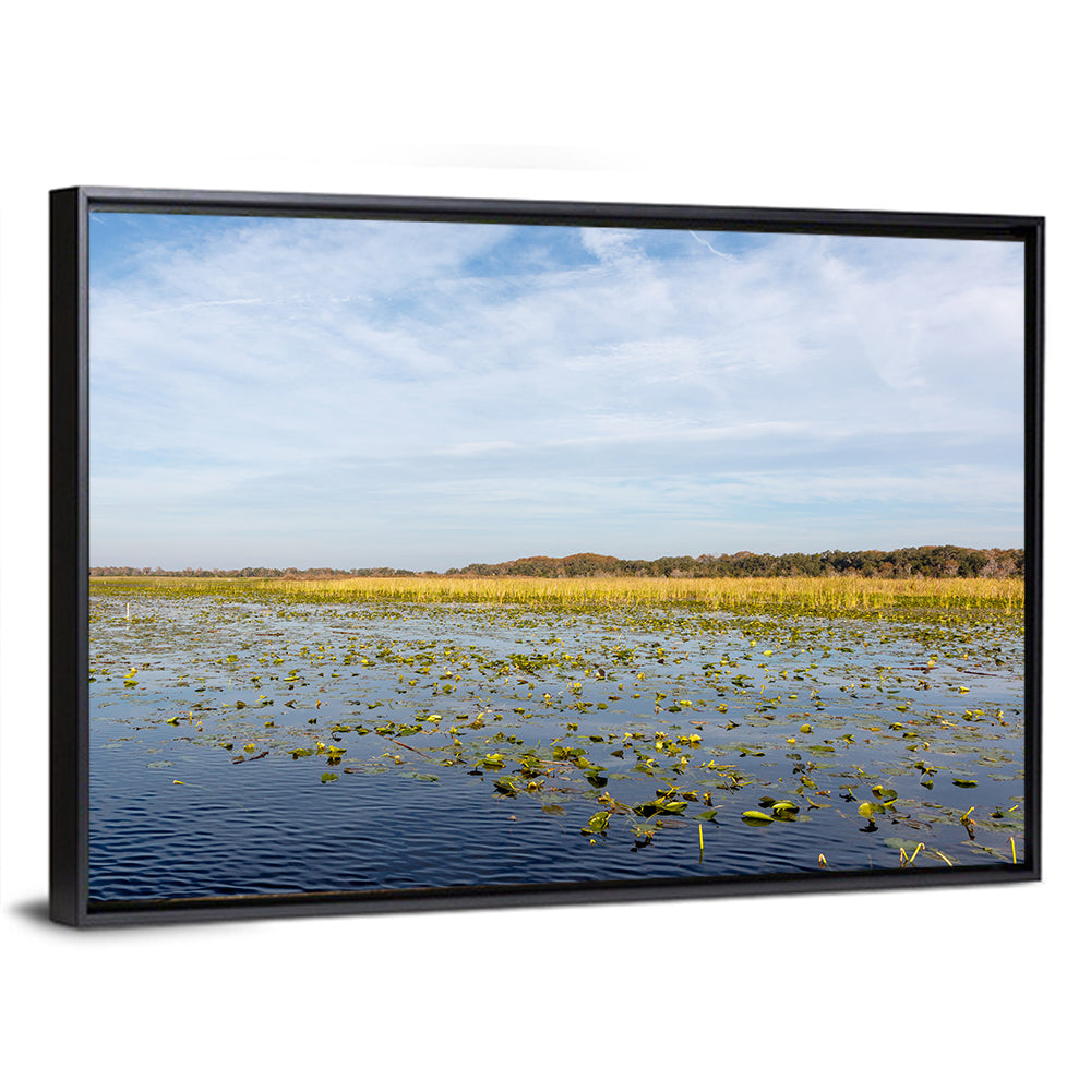 Lake Toho Lily Pads Wall Art