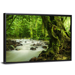 Rainforest River Wall Art