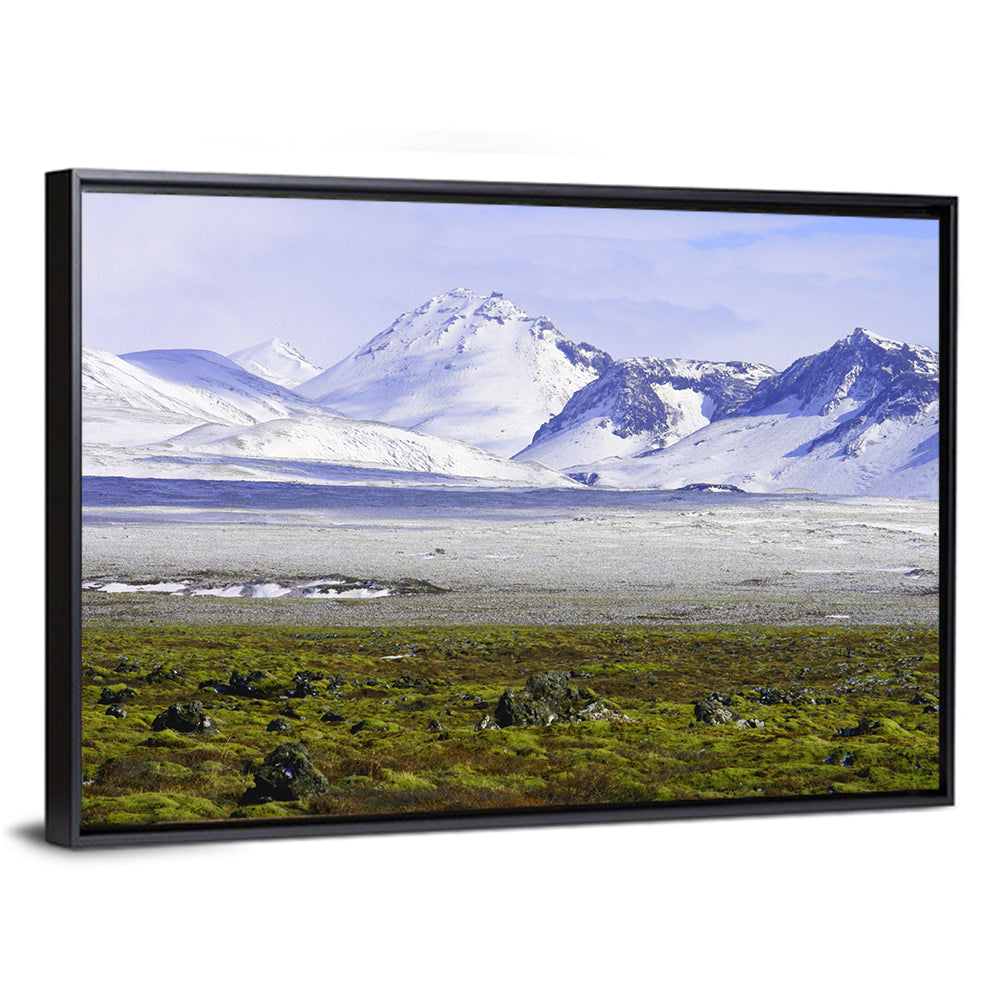 Icelandic Snow and Moss Landscape Wall Art