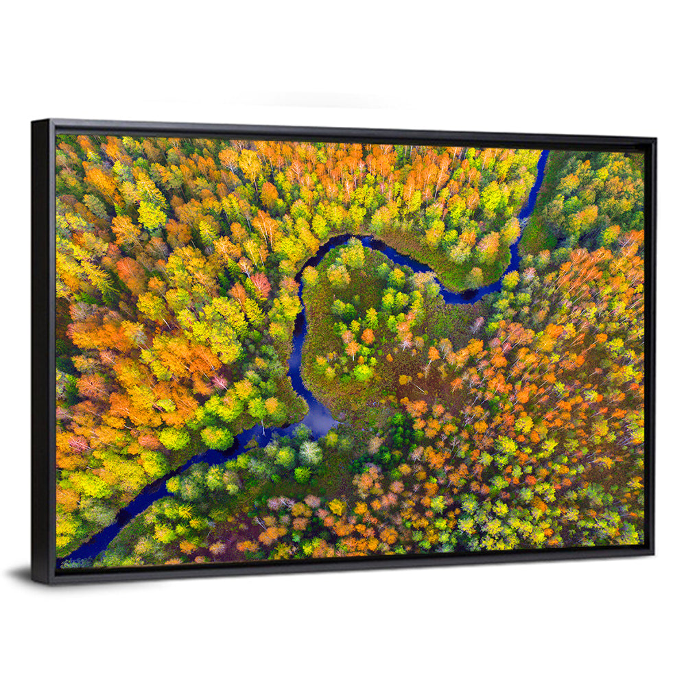Winding Autumn River Wall Art