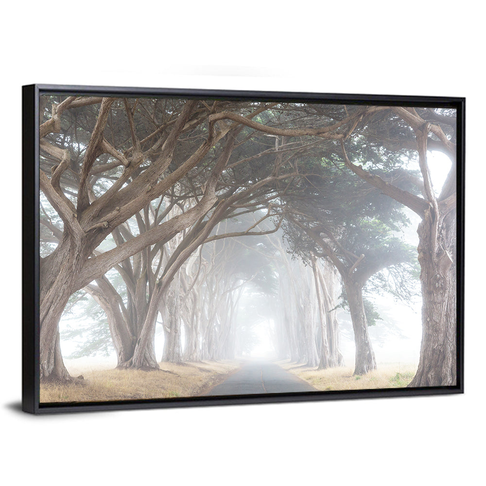 Misty Cypress Tunnel Wall Art
