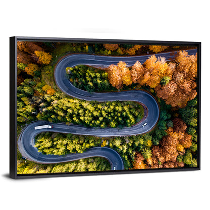 Serpentine Forest Road Wall Art
