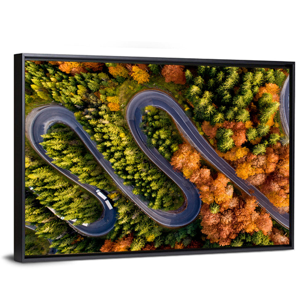 Autumn Aerial Mountain Road Wall Art