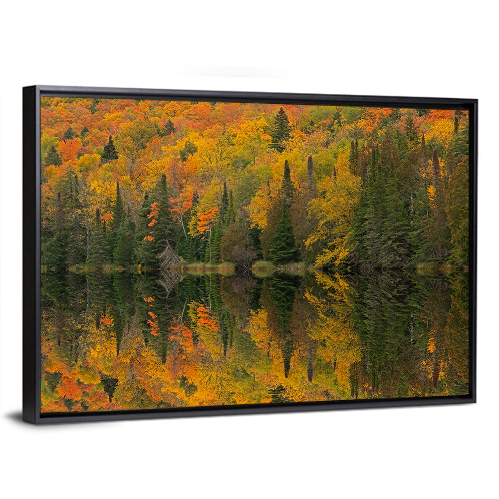 Ottawa National Forest Autumn Reflection Wall Art