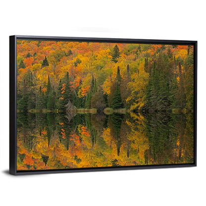 Ottawa National Forest Autumn Reflection Wall Art