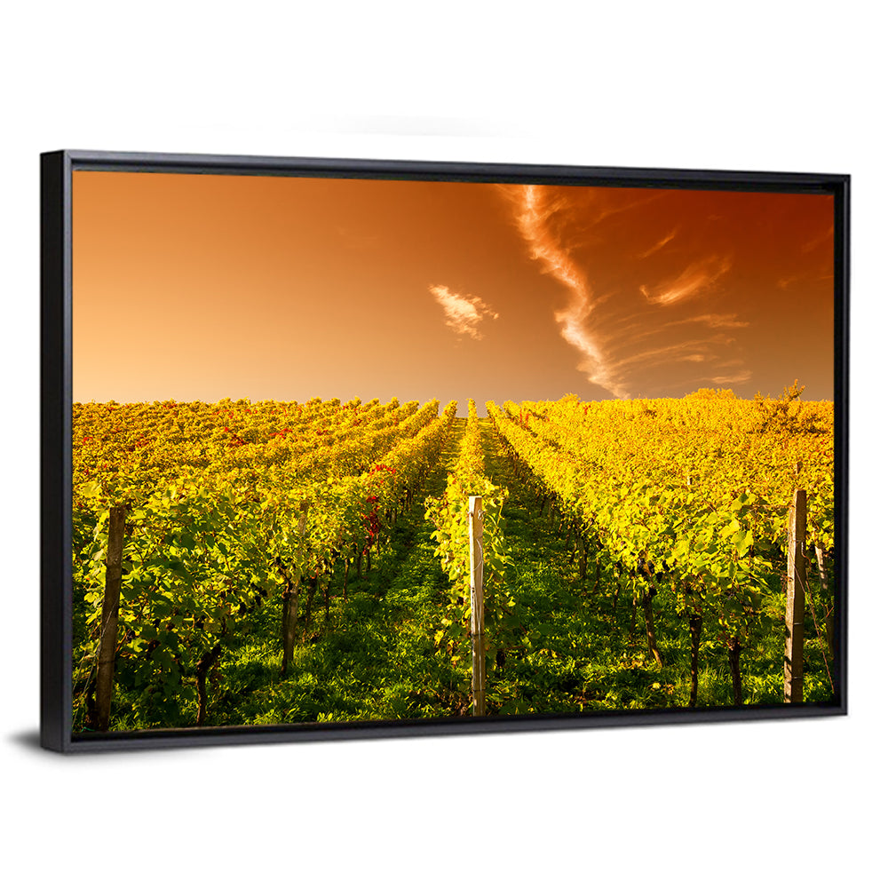 Wineyard Sunset Wall Art