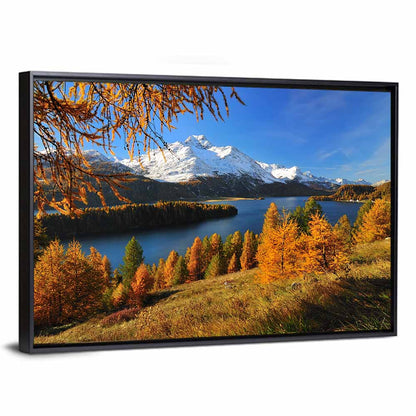 Silsersee Larches and Swiss Alps Wall Art