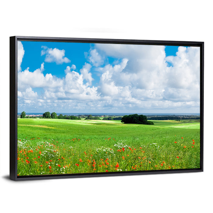 Summer Meadow with Poppies Wall Art as a framed canvas